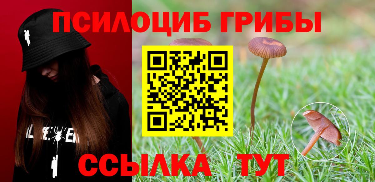 Псилоцибиновые грибы Cubensis  Вход с VPN  Псилоцибиновые грибы Magic Shrooms  Ирбит 